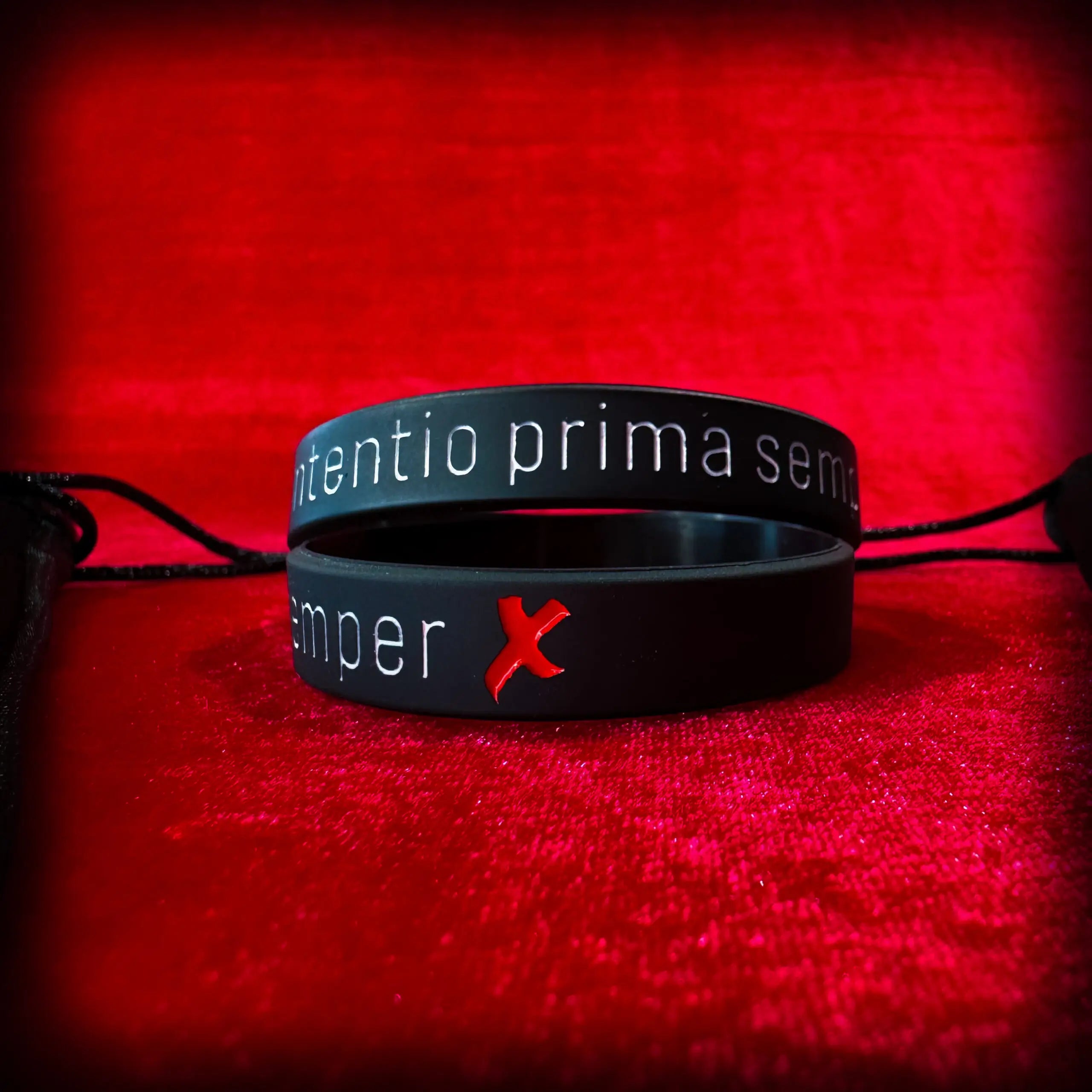 PULSEIRAS Intentio Prima Semper - Excessus